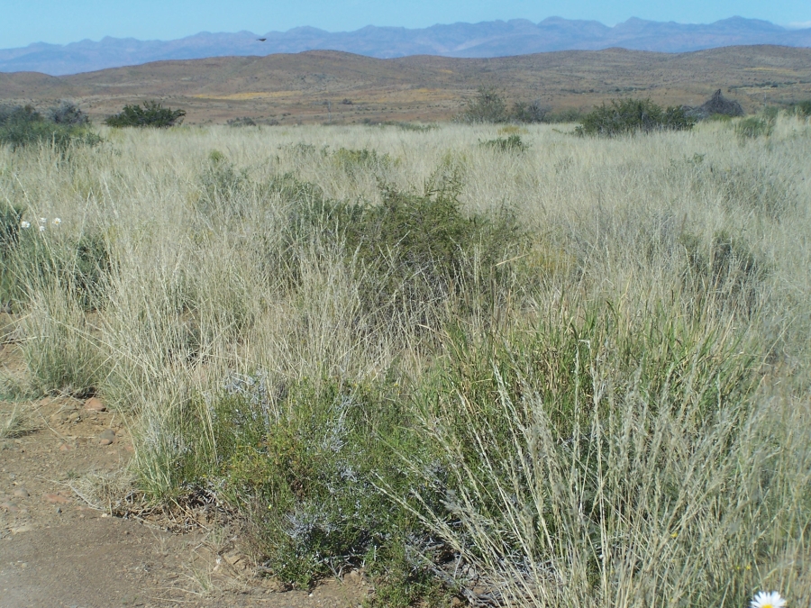 Commercial Property for Sale in Laingsburg Rural Western Cape